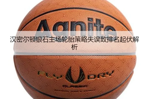 han-mi-er-dun-yin-shi-zhu-chang-lun-tai-ce-lve-shi-wu-zhi-pai-ming-qi-fu-jie-xi-2-639.jpg