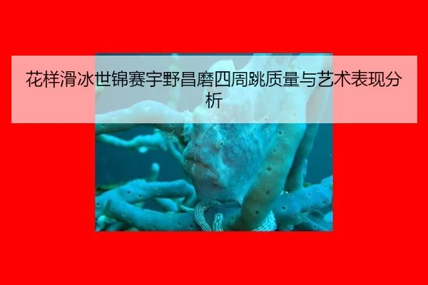 hua-yang-hua-bing-shi-jin-sai-yu-ye-chang-mo-si-zhou-tiao-zhi-liang-yu-yi-shu-biao-xian-fen-xi-3-221.jpg