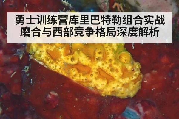 勇士训练营库里巴特勒组合实战磨合与西部竞争格局深度解析